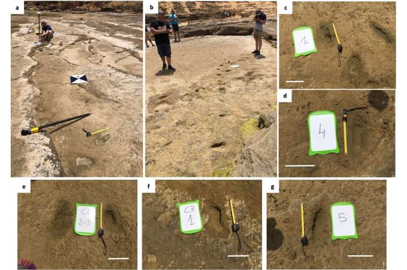 90,000-year-old human footprints found on Moroccan beach