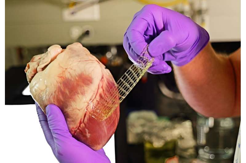 A Band-Aid for the heart? New 3D printing method makes this, and much more, possible