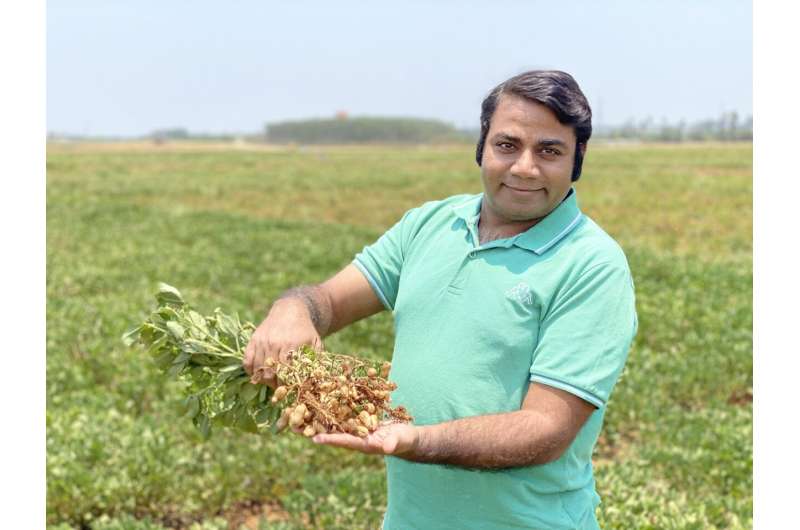 A better peanut on your plate? New findings reveal potential for peanut crop improvement