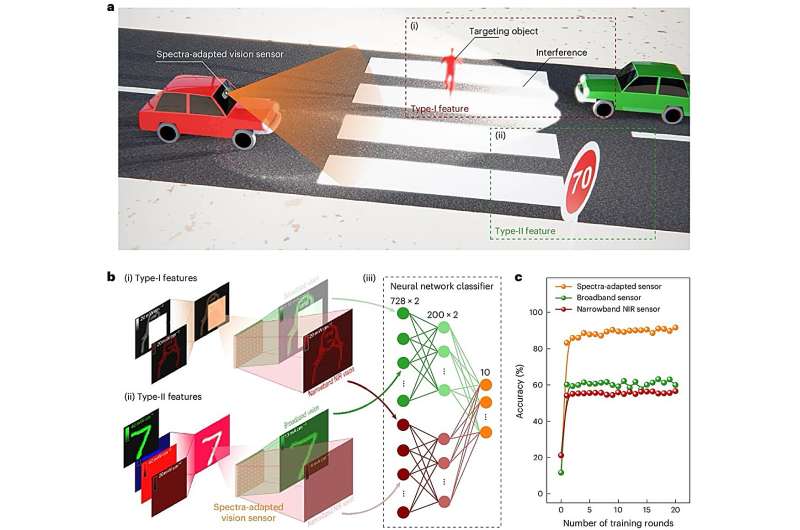 A bio-inspired vision sensor that can detect spectrally distinctive features 