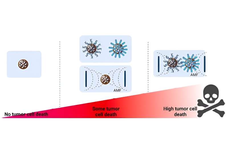 A combination of multicore magnetic nanoparticles and chemotherapy drugs achieves greater efficacy against cancer cells