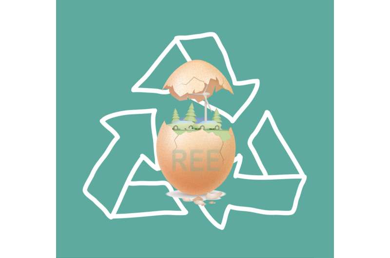 A cracking discovery – eggshell waste can recover rare earth elements needed for green energy