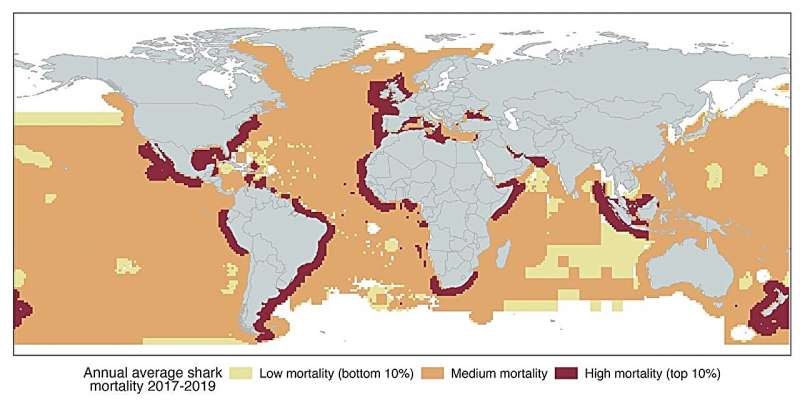 A global study reveals pathways to save threatened sharks, despite rising mortality trends