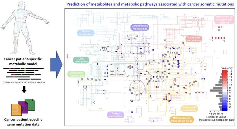 A KAIST-Seoul National University Hospital research team develops a computational workflow that predicts metabolites and metabolic pathways associated with somatic mutations in cancers