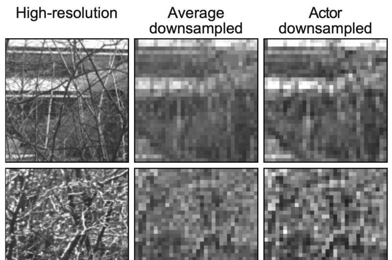 A machine learning framework that encodes images like a retina