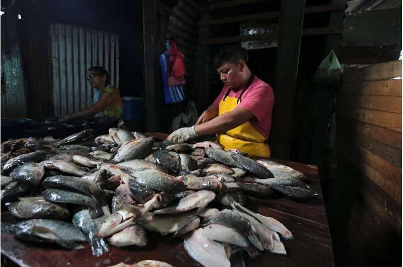 A man sells fish in a market in the Nicaraguan capital Managua