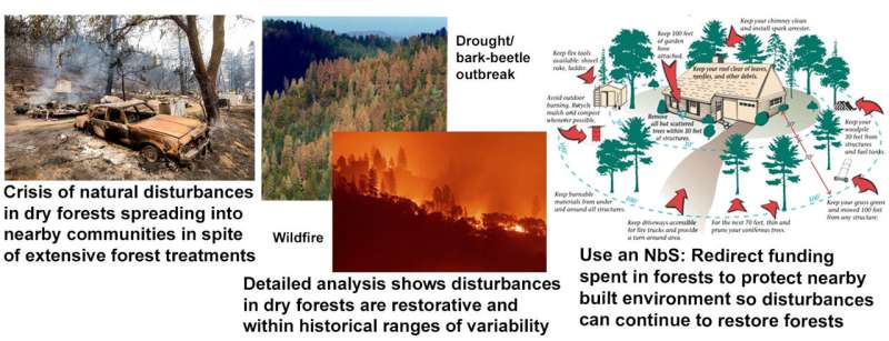 A nature-based solution to restore and adapt western USA dry forests to climate change