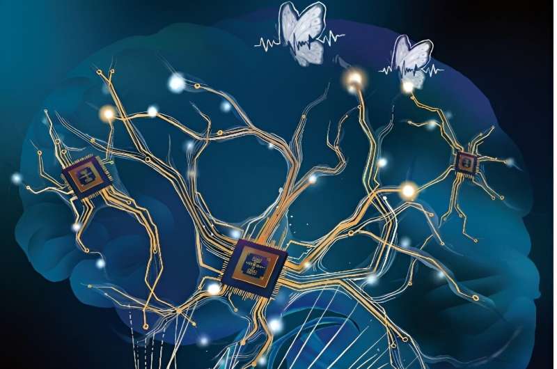 A new brain-inspired artificial dendritic neural circuit