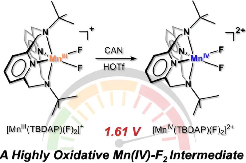 A new manganese-fluorine catalyst with exceptional oxidizing power