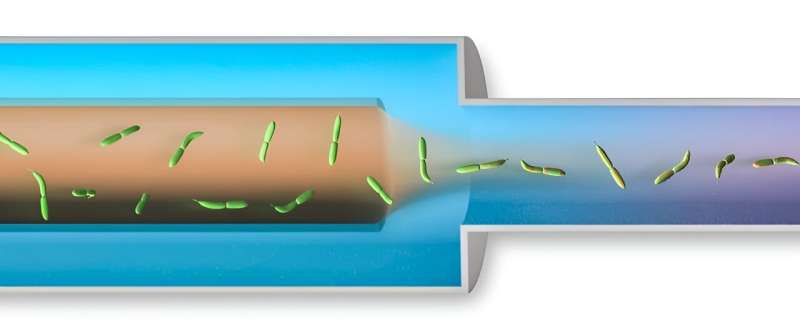 A novel spray device helps researchers capture fast-moving cell processes