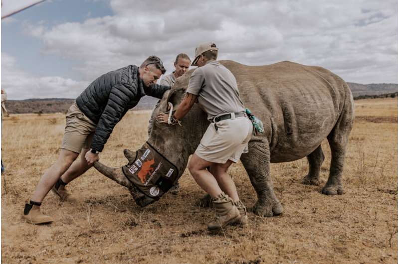 A novel way to save rhinos