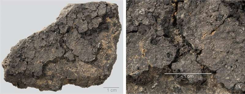A peek into the cooking pot: Burnt food remains document 5,000-year-old food preparation