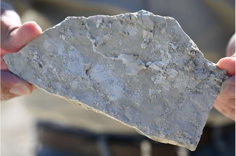 A piece of searlesite, a rock that contains both lithium and boron