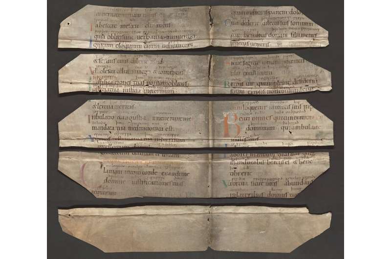 A princess's psalter recovered? Pieces of a 1,000-year-old manuscript in Alkmaar book bindings
