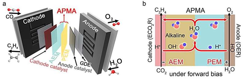 A pure water-fed membrane-electrode-assembly system for the electrocatalytic reduction of carbon dioxide