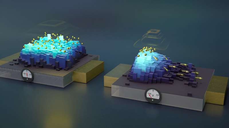 A quantum world on a silicon chip