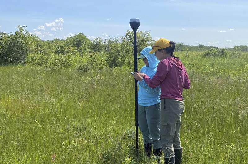 A rare orchid survives on a few tracts of prairie. Researchers want to learn its secrets