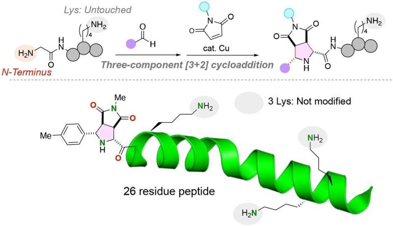 A simple and robust method to add functional molecules to peptides