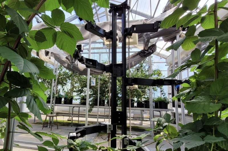 A six-armed robot for precision pollination 
