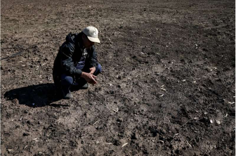 A sixth consecutive year of drought is hitting Morocco's farmers