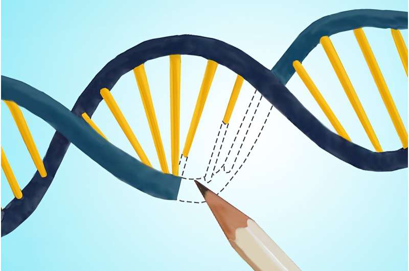 A small factor makes a big impact on genome editing