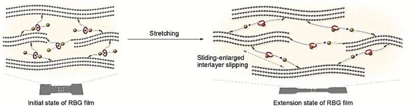 A stretchable, tough graphene film enabled by mechanical bond