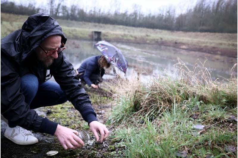 A Surfrider Foundation activist picks up plastic pellets near an industrial site in Ecaussinnes, Belgium