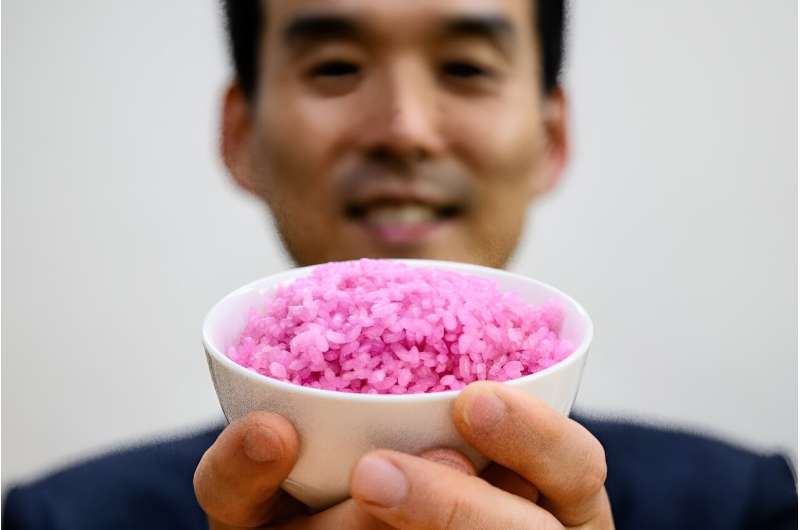 A team of South Korean scientists are injecting cultured beef cells into individual grains of rice, in a process they hope could revolutionise how the world eats