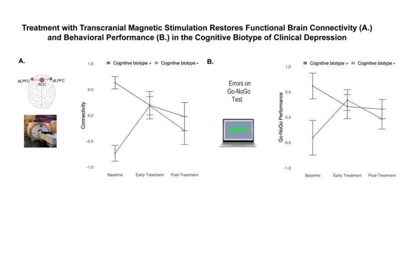 A treatment-resistant biotype of depression could be treated with transcranial magnetic stimulation