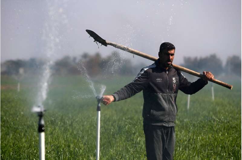 A water-saving irrigation system revived Iraqi farmer Mohammed Sami's crops -- and hopes