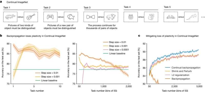 A way to maintain plasticity indefinitely in both supervised and reinforcement learning AI systems