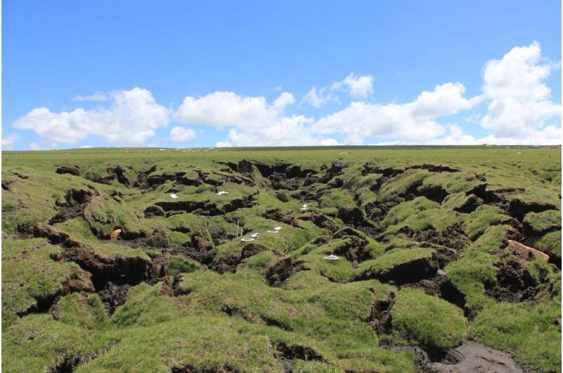 Abrupt permafrost thaw intensifies warming effects on soil CO2 emission