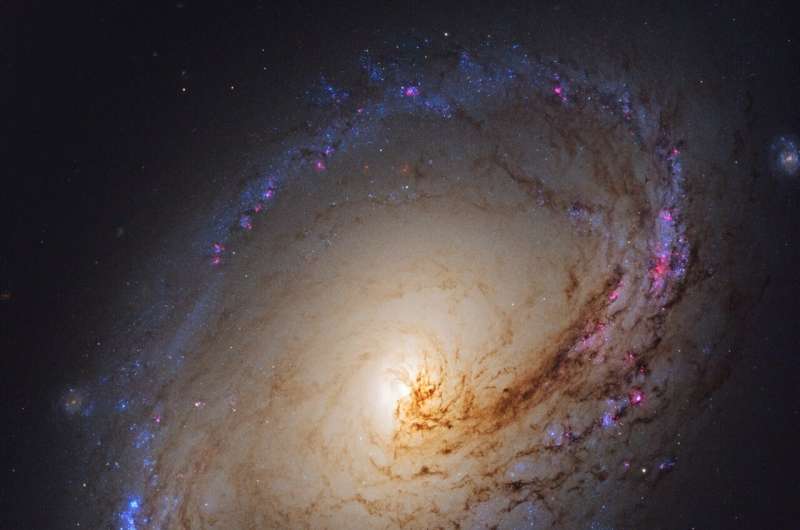 Active galaxies as standard candles: Is dust the culprit behind discrepancies?