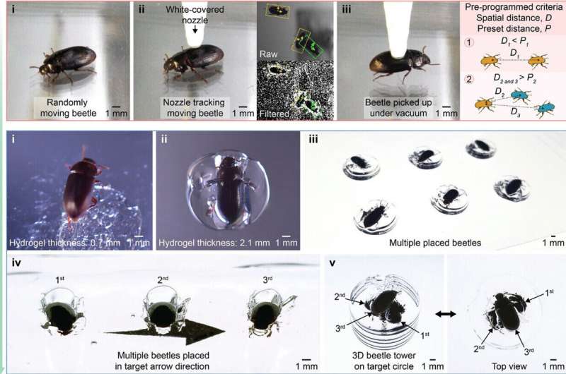 Adaptive 3D printing system for picking up and placing beetles and other organisms