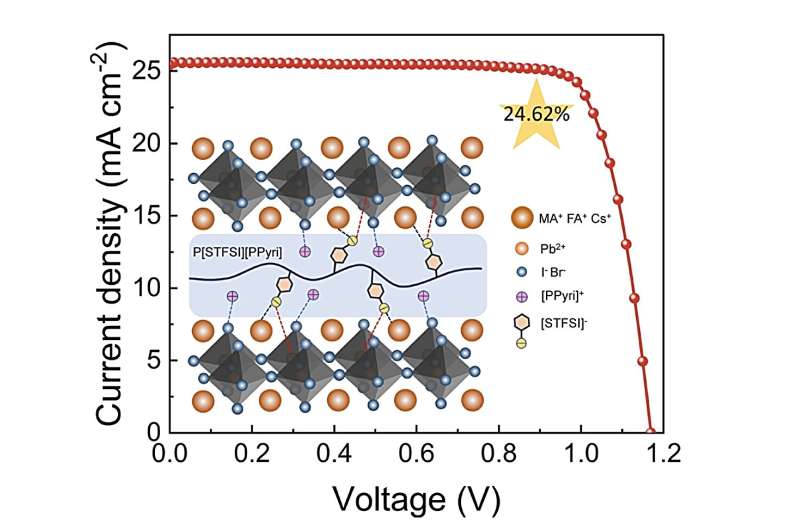Adding polymerized ionic liquid improves performance of perovskite solar cells