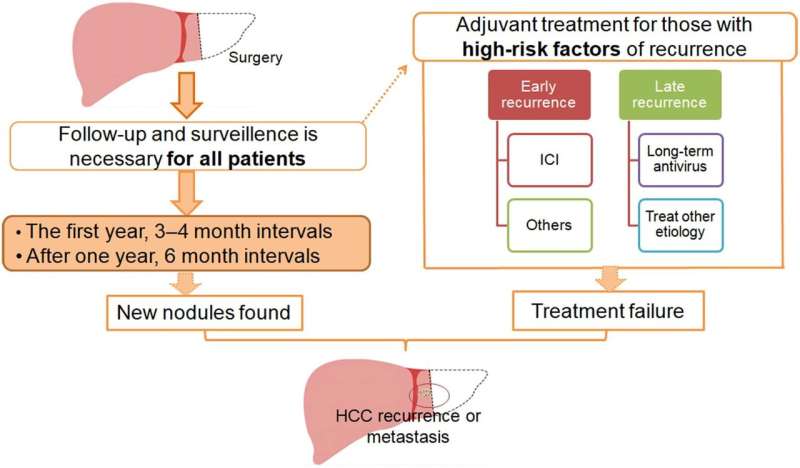 Adjuvant therapy for hepatocellular carcinoma after curative treatment: Several unanswered questions