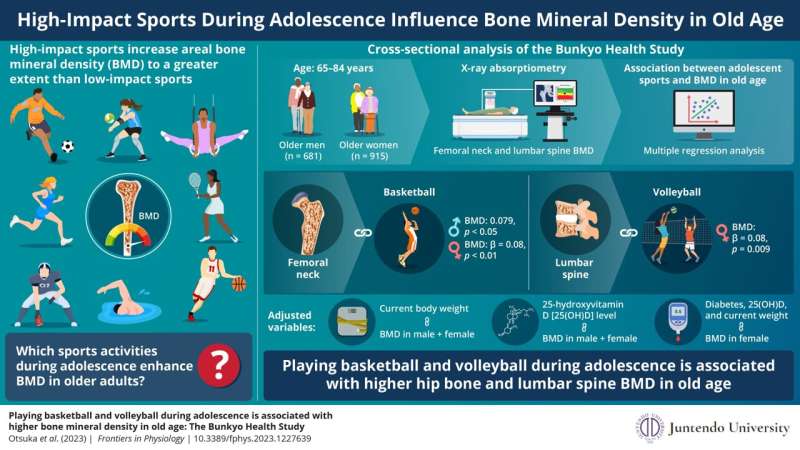 Adolescent sports activities help improve bone health in older adults, new study finds