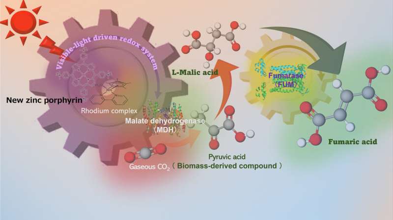 Advanced artificial photosynthesis catalyst uses CO2 more efficiently to create biodegradable plastics