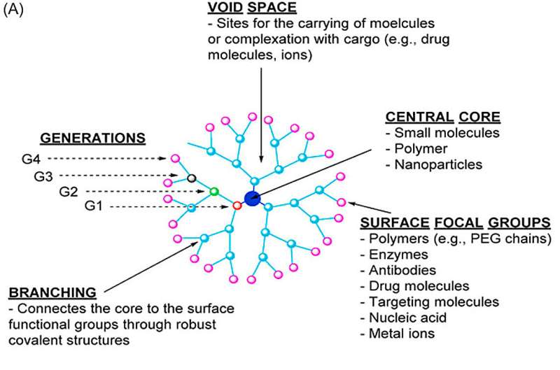 Advances and applications of nanoparticles in cancer therapy