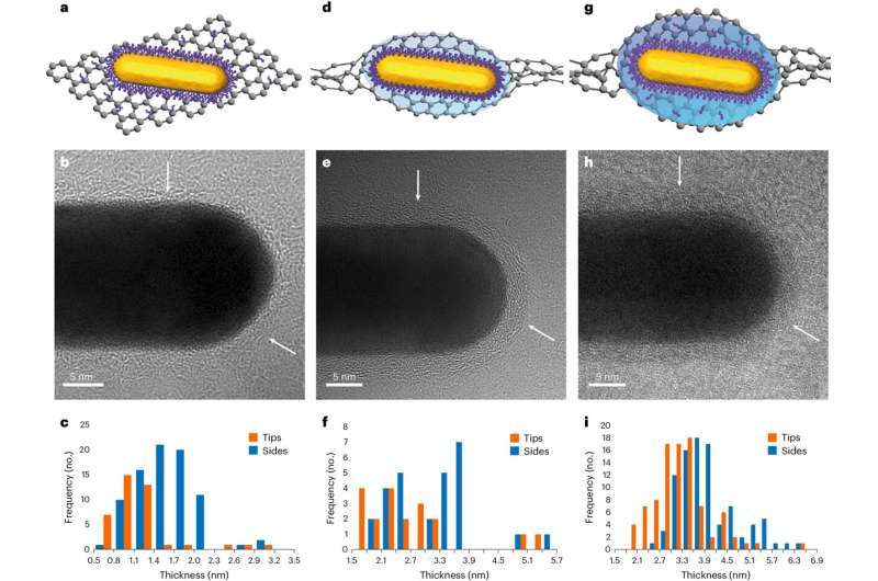 Advances in the study of the structure that is formed around gold nanoparticles