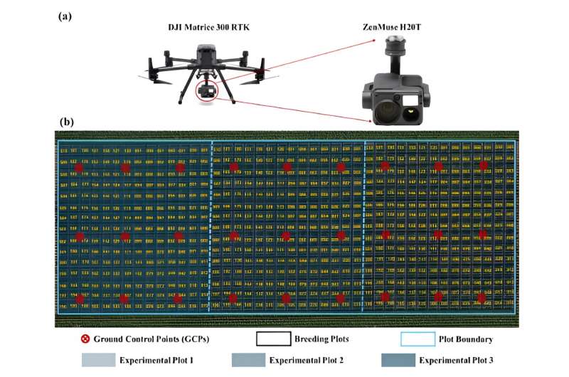 Advancing soybean yield through high-throughput UAV phenotyping and dynamic modelling
