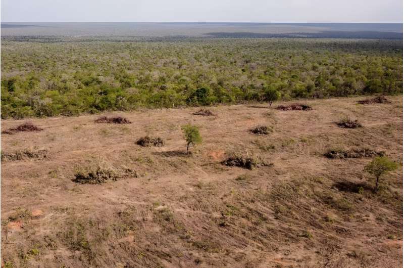 Aerial image showing the destruction of native vegetation in the Cerrado savanna in Sao Desiderio, Brazil