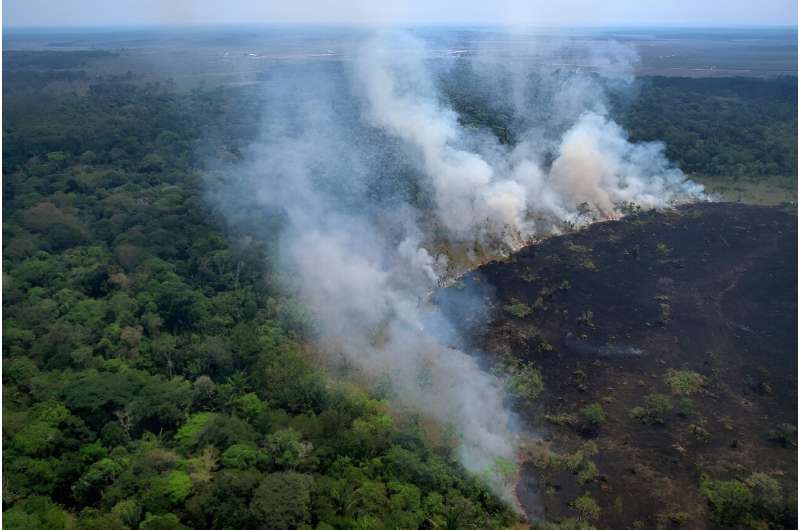 Aerial view of a burnt area in the Amazon rainforest