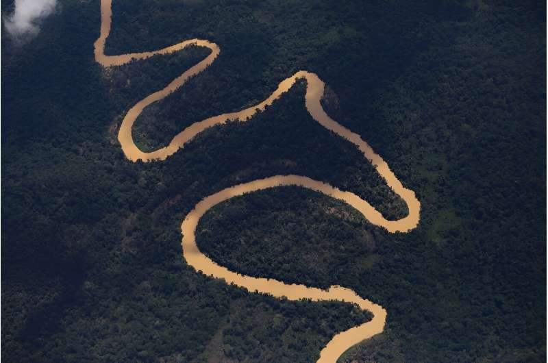 Aerial view of the Mucajai river in the Yanomami Indigenous territory