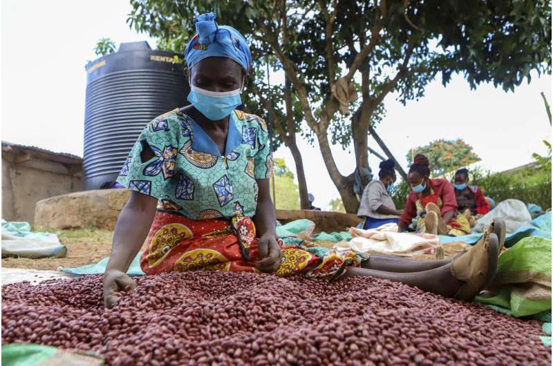 Los agricultores africanos miran hacia el pasado y el futuro para abordar el cambio climático