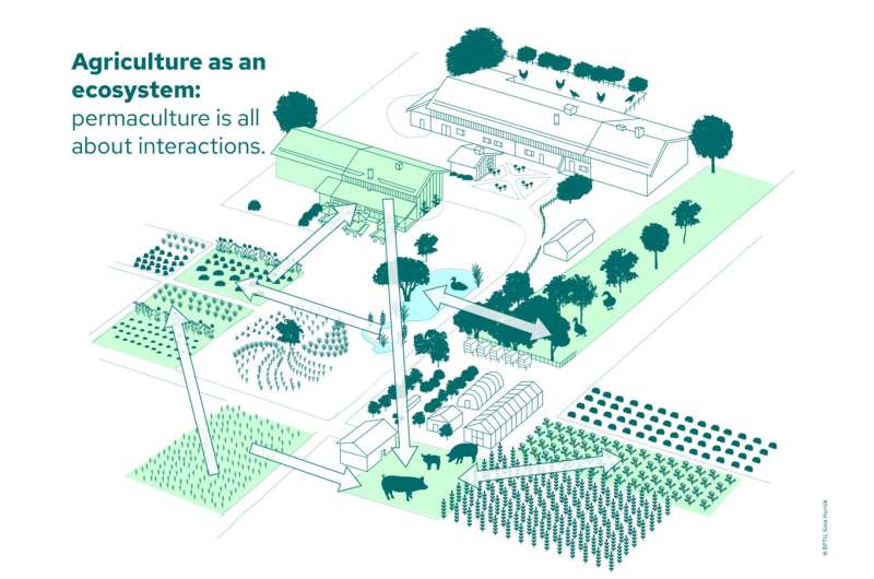 Agriculture of the future: study shows enormous potential of permaculture