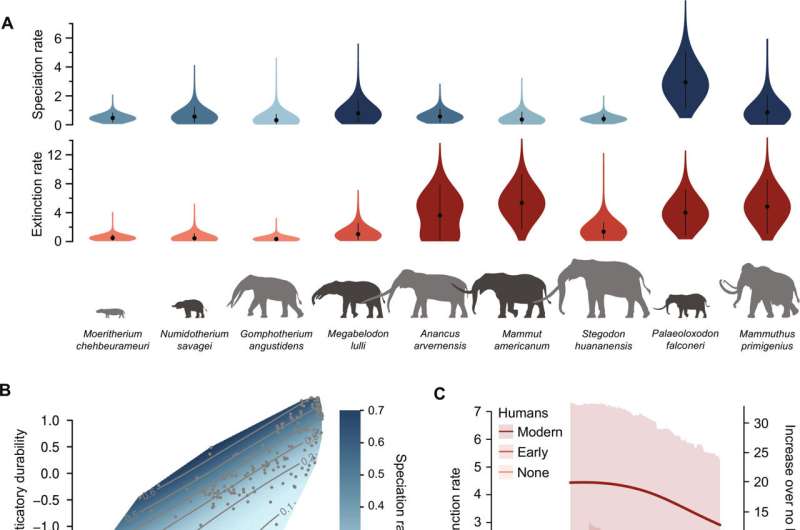 AI-assisted analysis suggests proboscidean species extinction rates grew when humans arrived