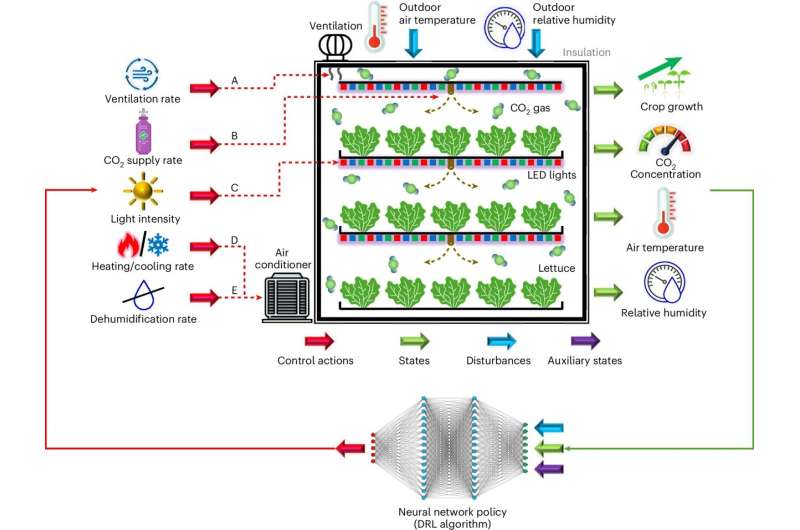 AI boosts indoor food production's energy sustainability