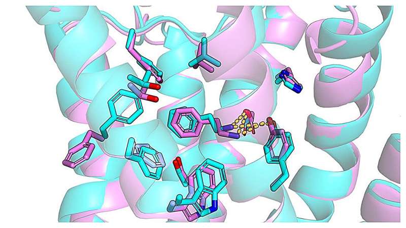 AI can speed up drug development