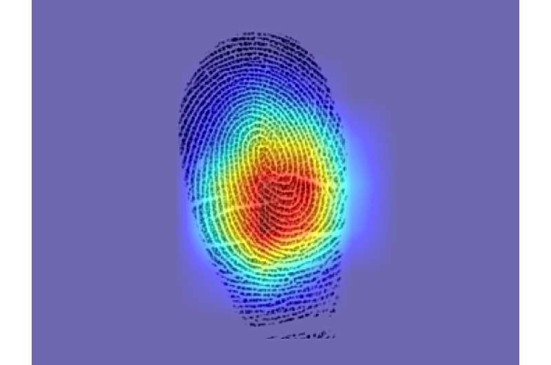 AI discovers that not every fingerprint is unique